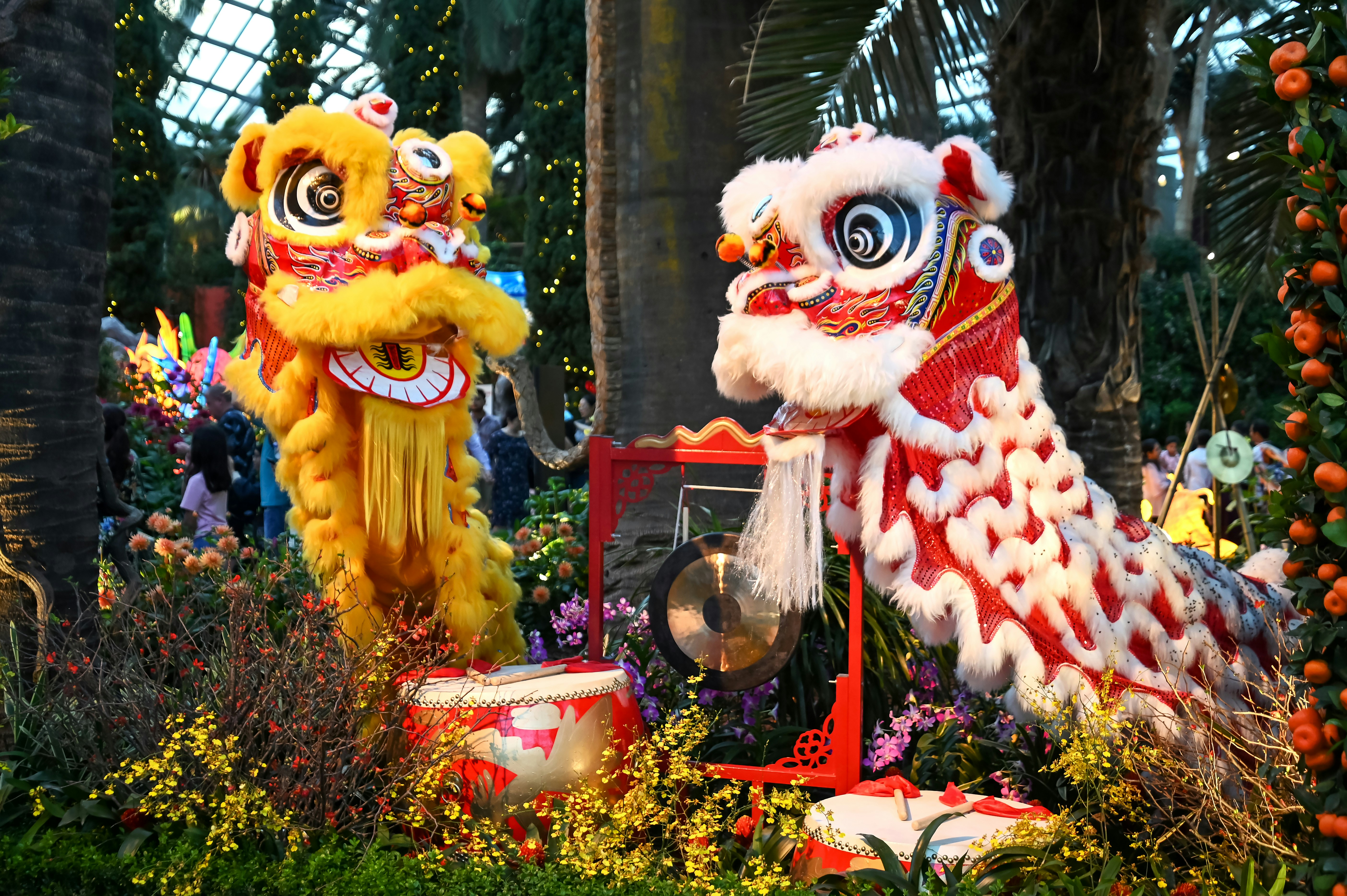 Chinese Festivals