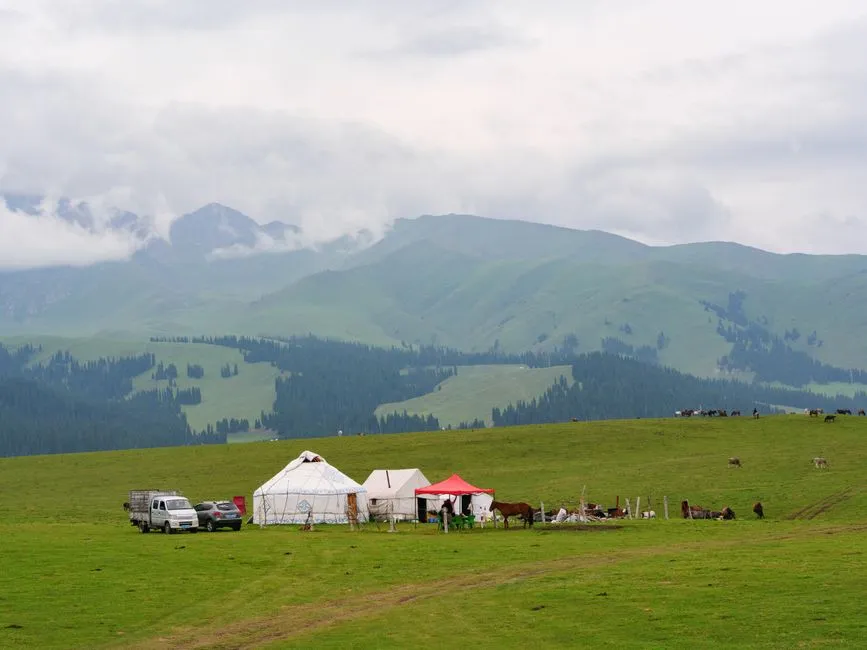 Axilixi Grassland
