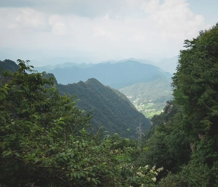 Baima Mountain Forest Park