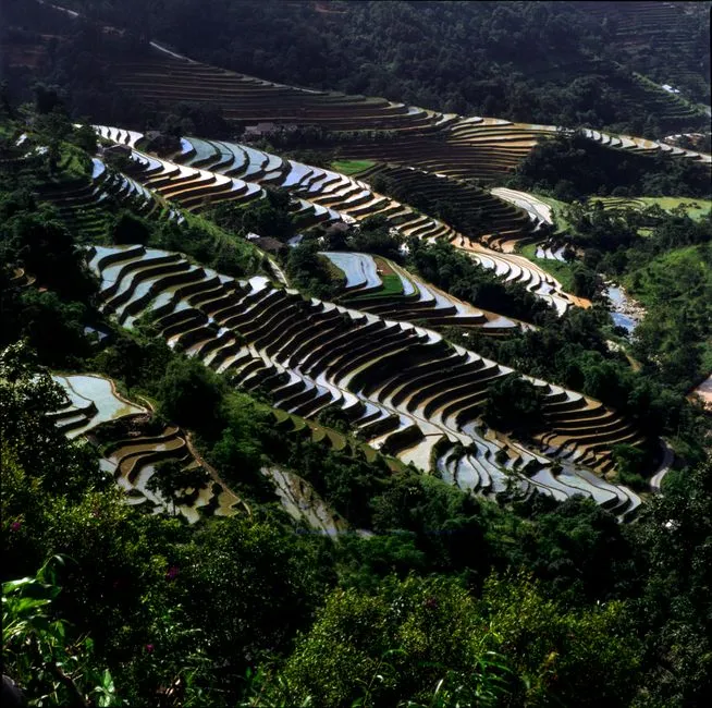 Baze Rice Terraces