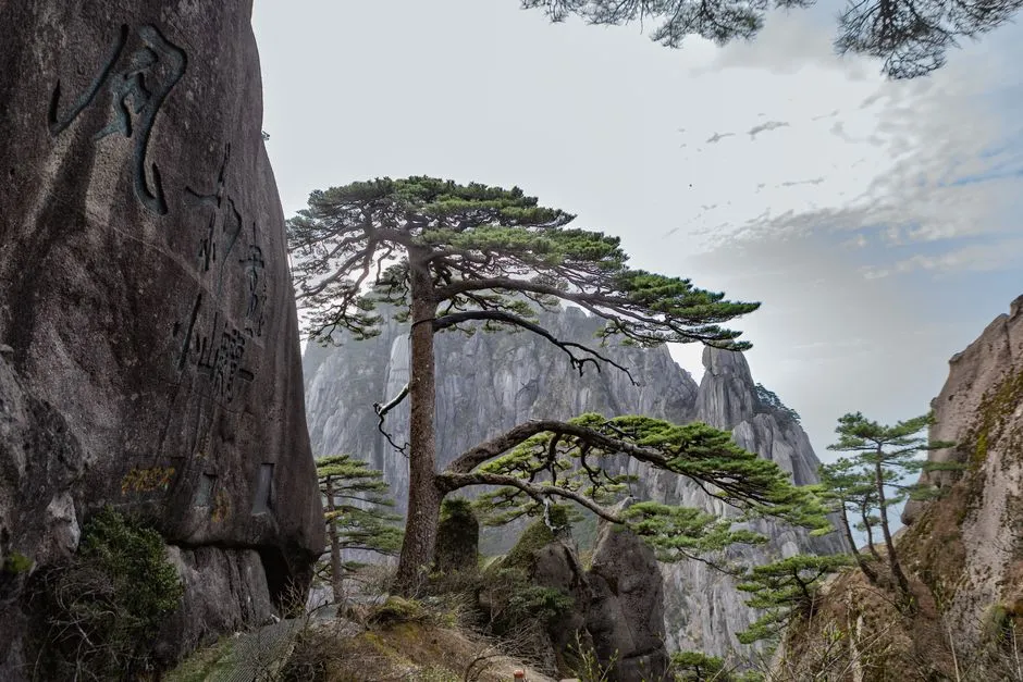 Beginning-to-Believe Peak (Shixin Feng)