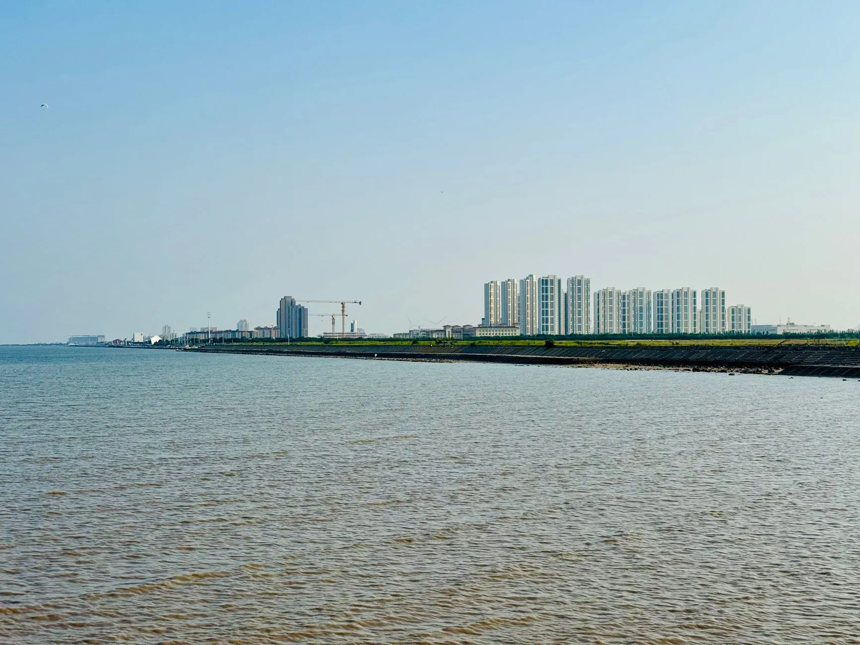 Binhai New Area Night View Walk