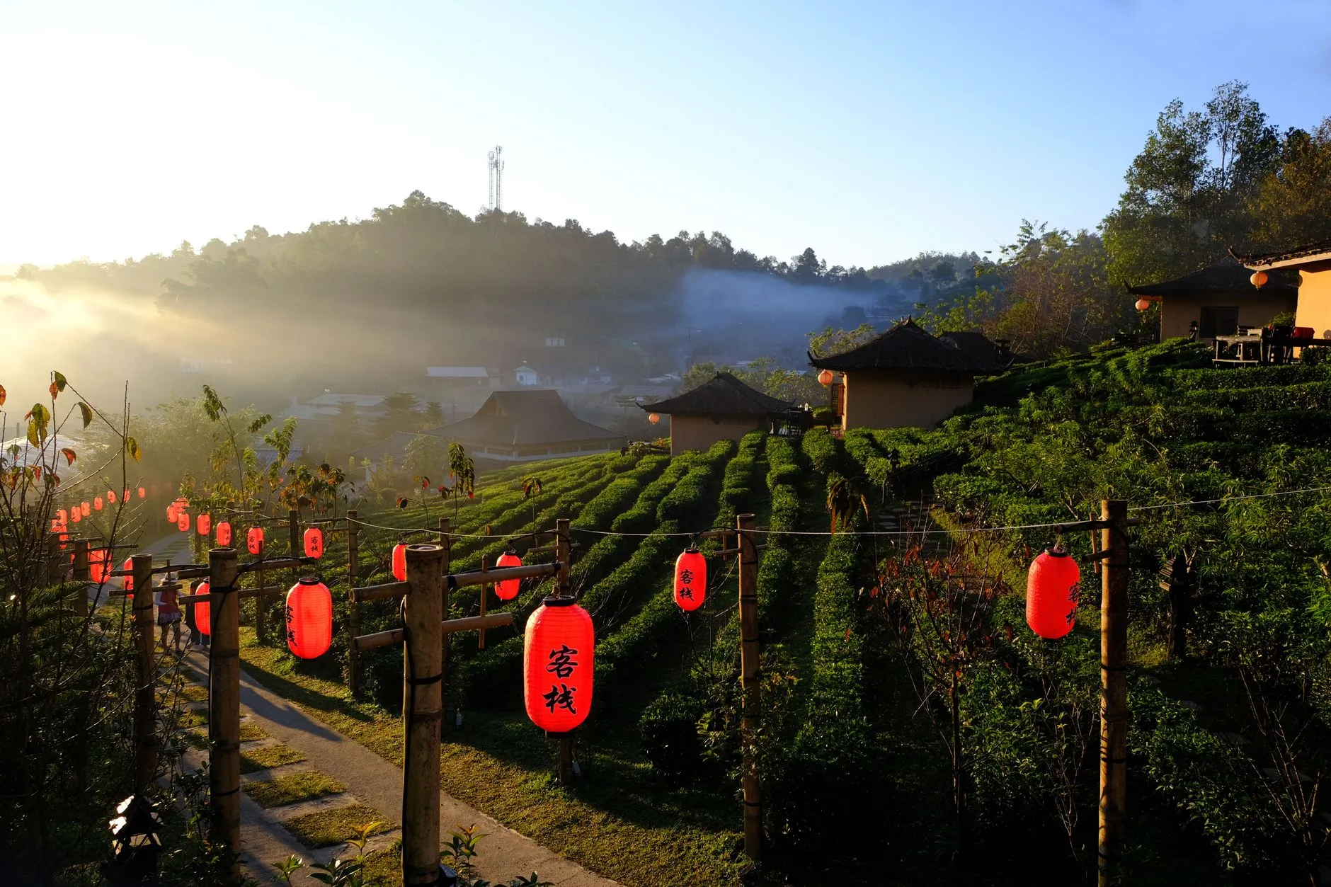 Da Hong Pao Tea Scenic Area