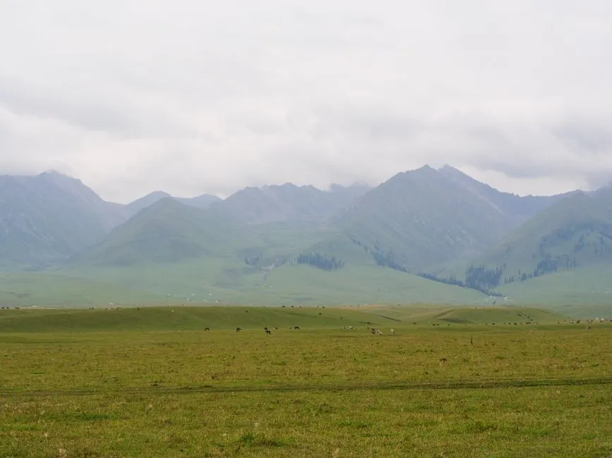 Dahai Grass Mountain