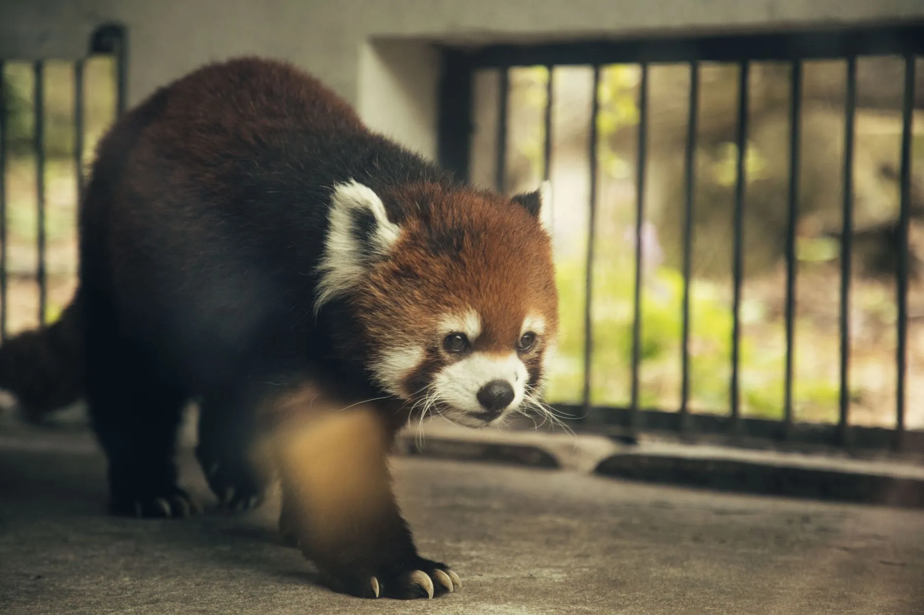 Dalian Forest Zoo