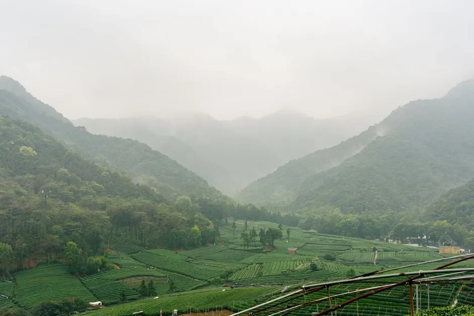 Daqing Valley