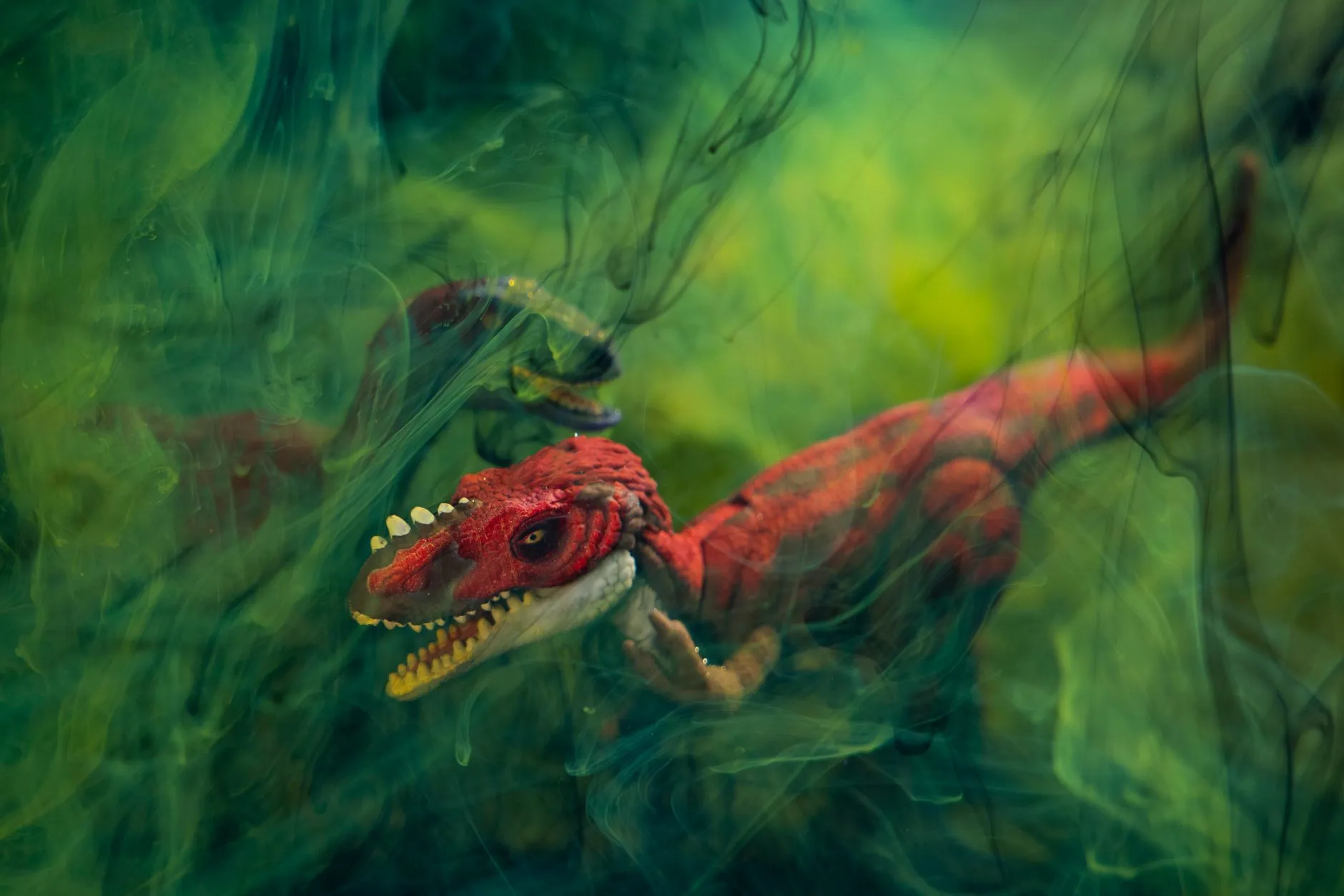 Dinosaur Valley Water World
