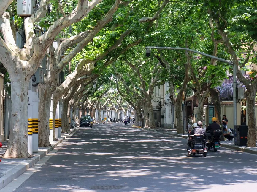 French Concession