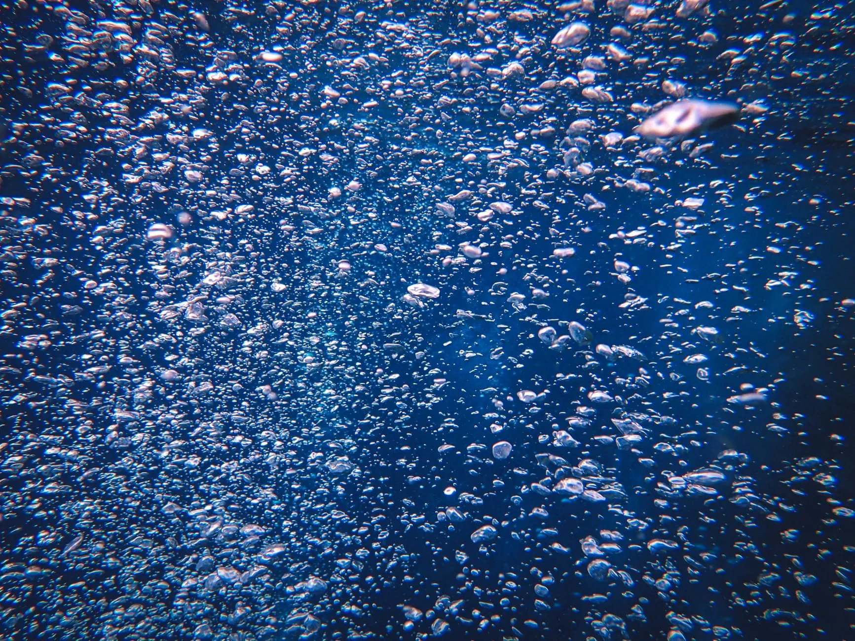 Fuzhou World of Bubbles