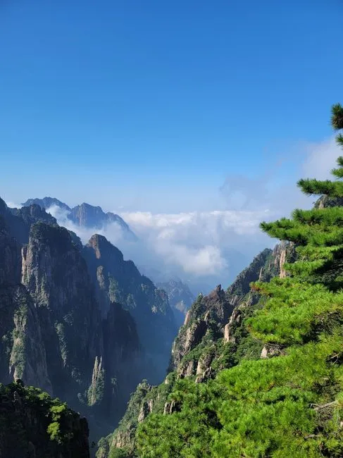 Gaoligongshan National Nature Reserve
