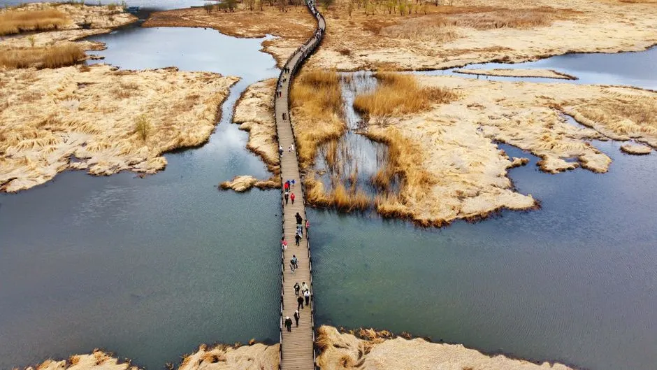 Guanyin Lake Wetland Park