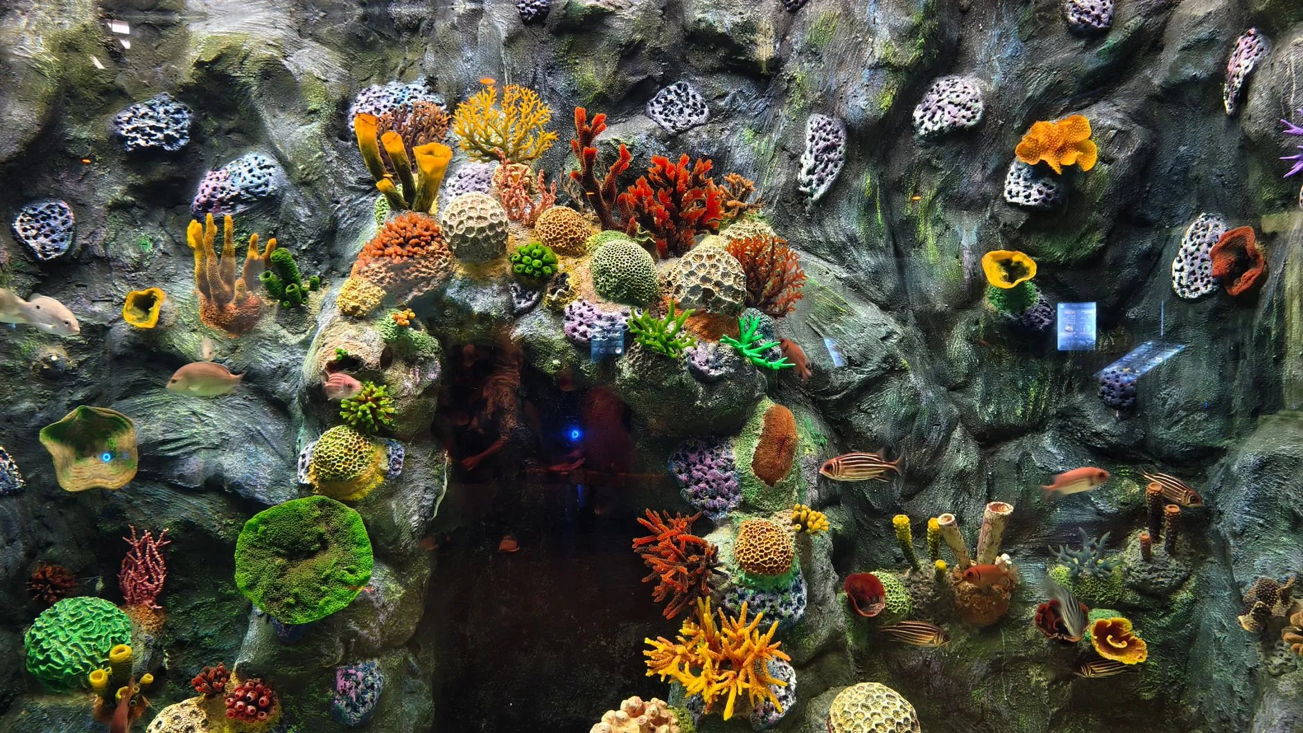 Gulangyu Undersea World