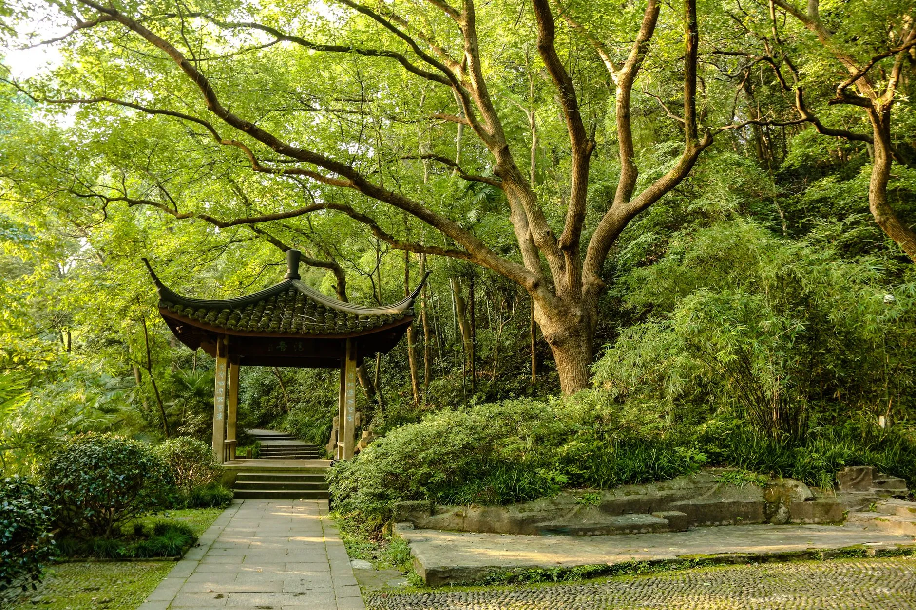 Hangzhou Botanical Garden