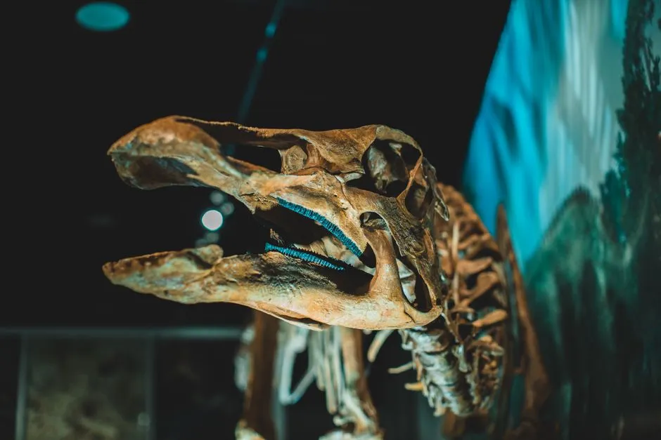 Heilongjiang Dinosaur Museum
