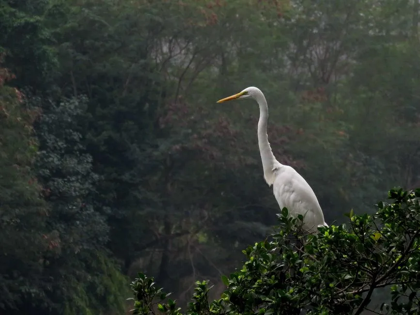 Hong Kong Wetland Park