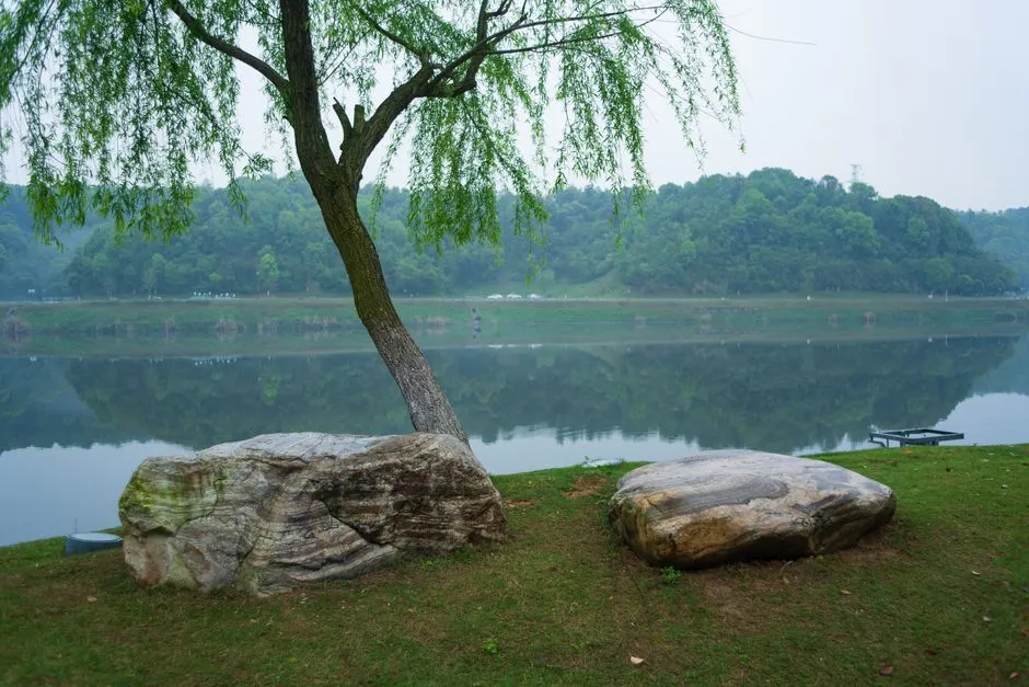 Hongfeng Lake