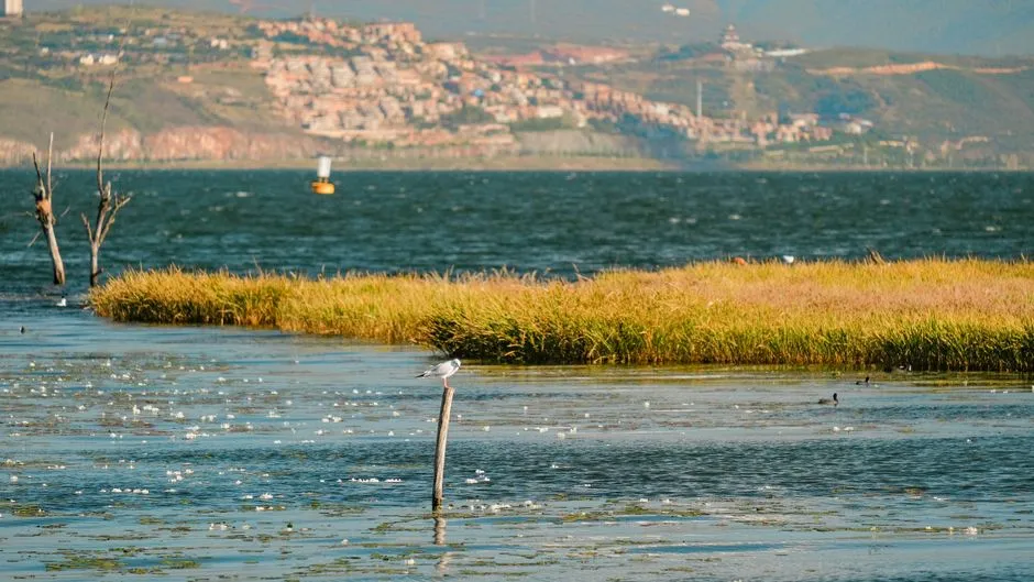Hulun Lake