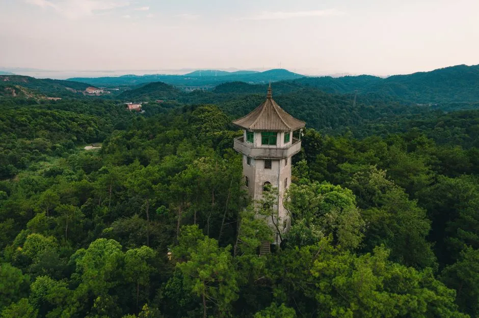 Jiaojiang Cannon Tower