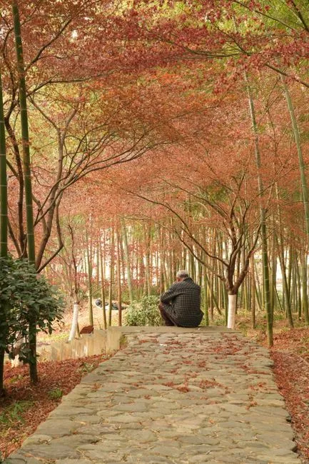 Jichang Garden