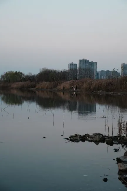 Jinghu Wetland Park