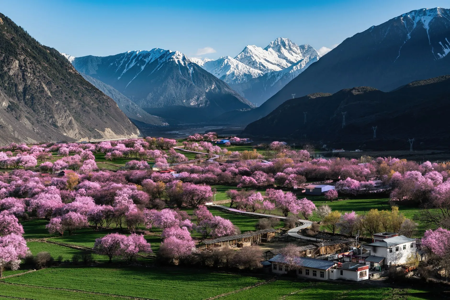 Jingzhou Peach Blossom Village