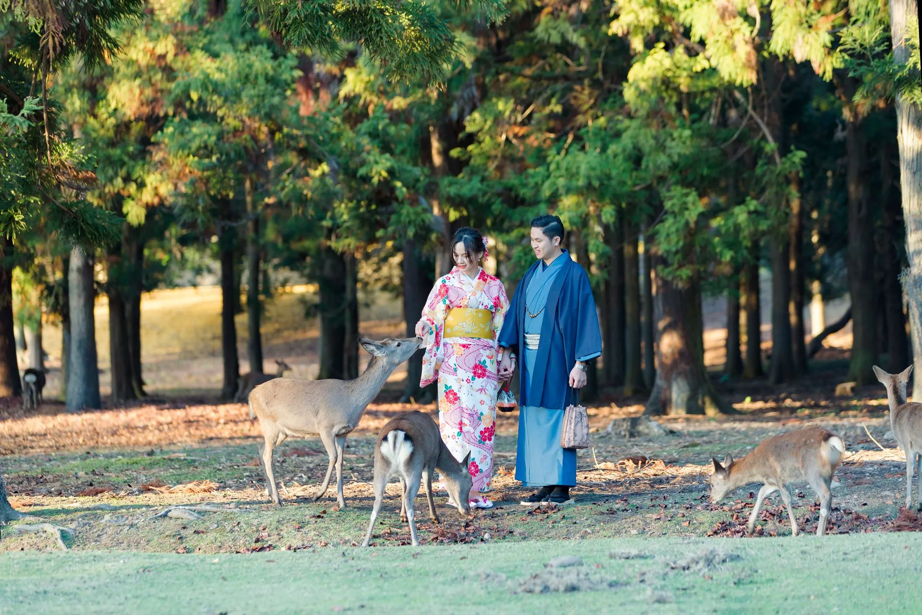 Jinshan Deer Farm
