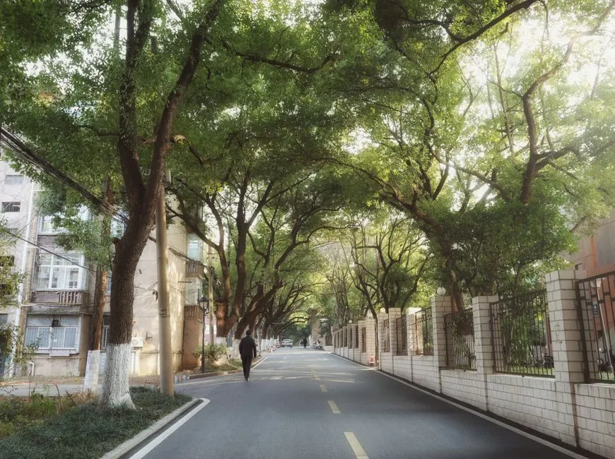 Hefei Luyi Ancient Street