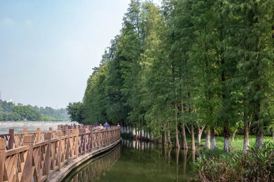 Maoming Forest Park