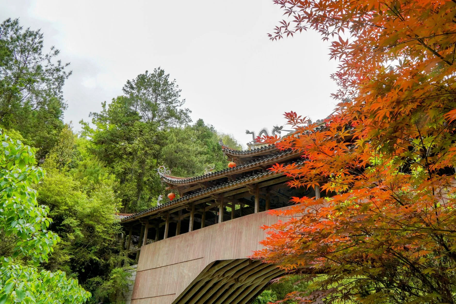 Maple Bridge