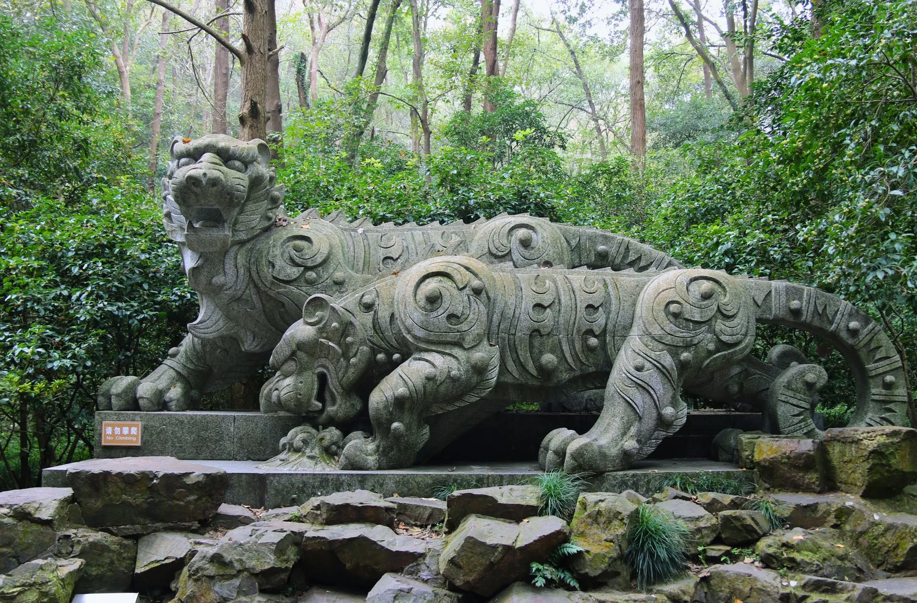 Meihuashan South China Tiger Reserve