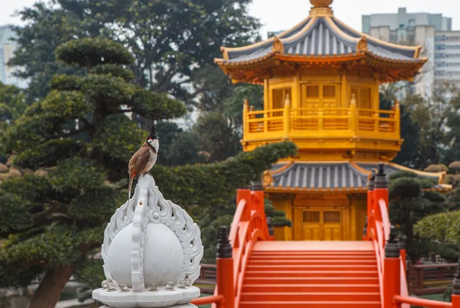 Nanning Confucius Temple