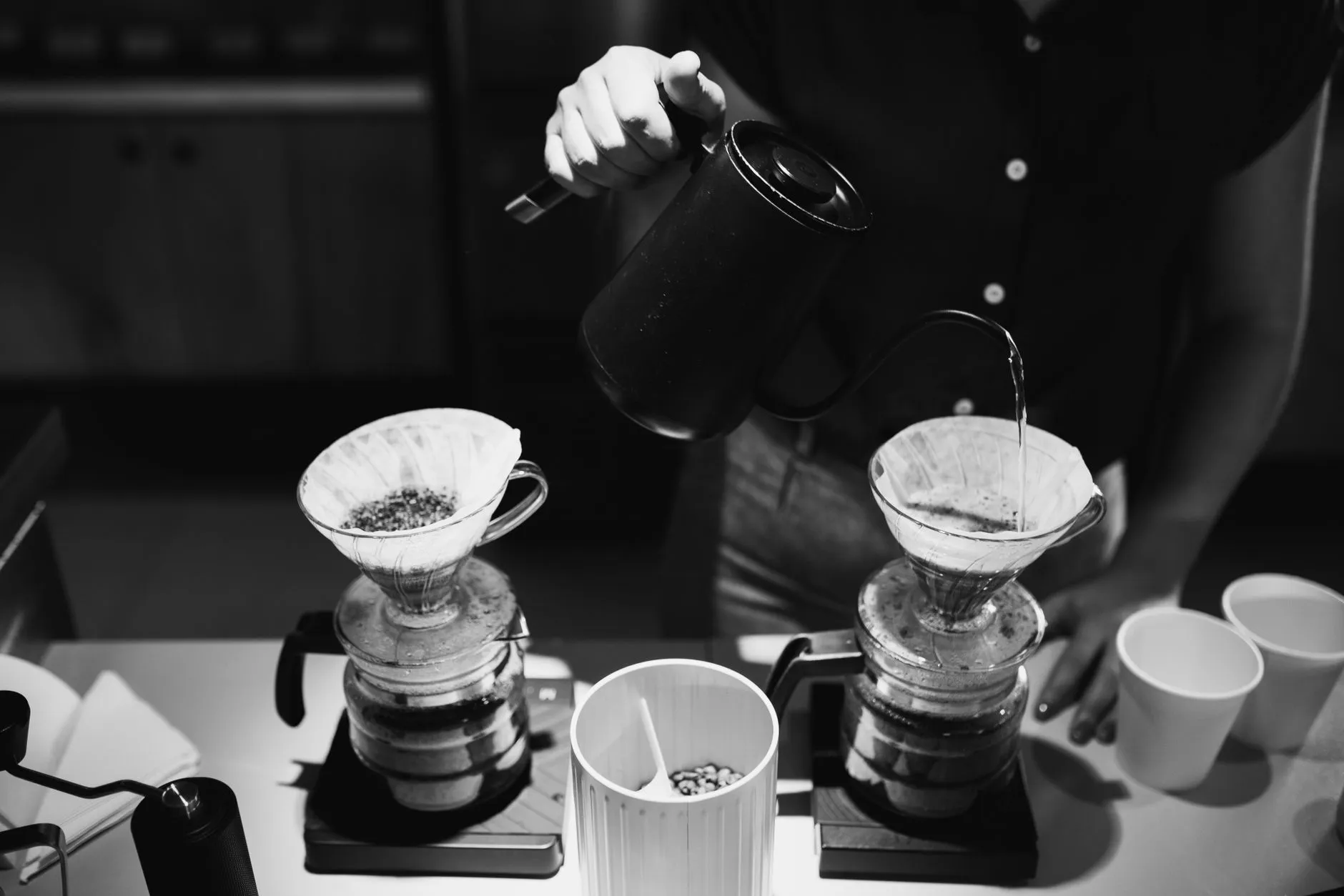 Pu'er Coffee Plantation