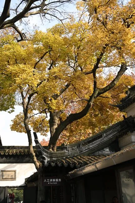 Qinghui Garden (Shunde)