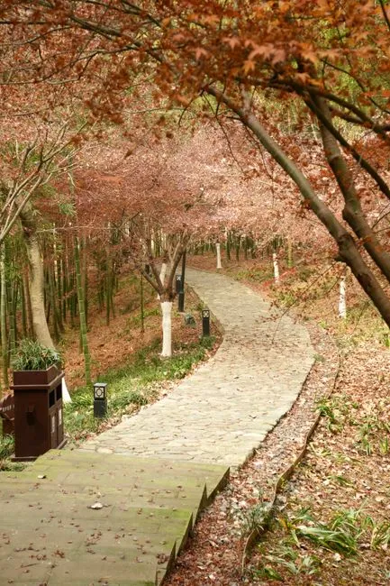 Qishan Park
