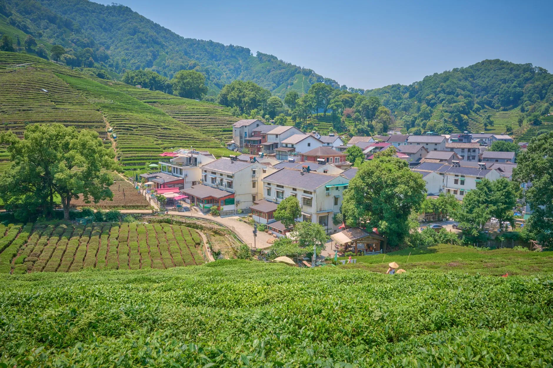 Ruian Tea Culture Village