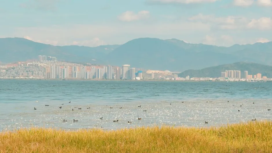Sanmen Bay Wetland