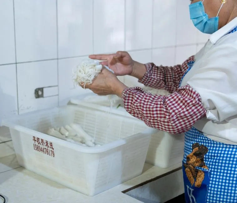 Shatian Rice Noodle Village Experience