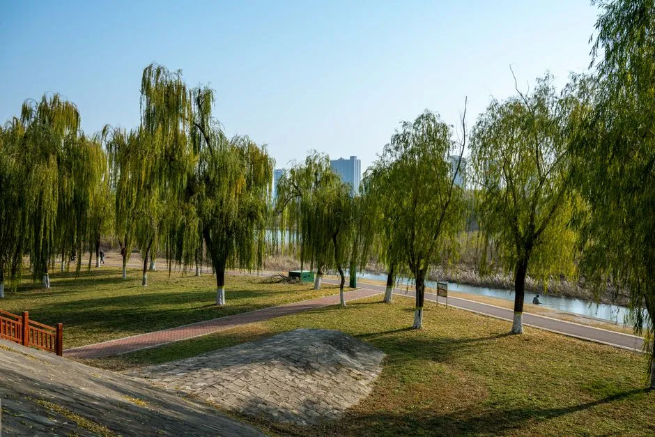 Shenyang Hunnan Central Park