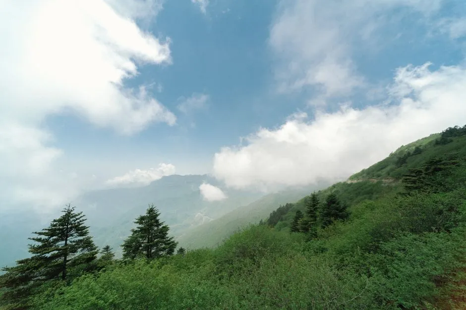 Shiziguan (Lion Pass)