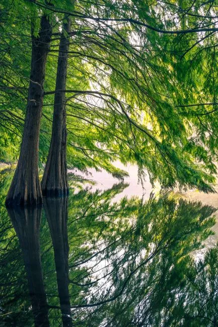 Swallow Lake