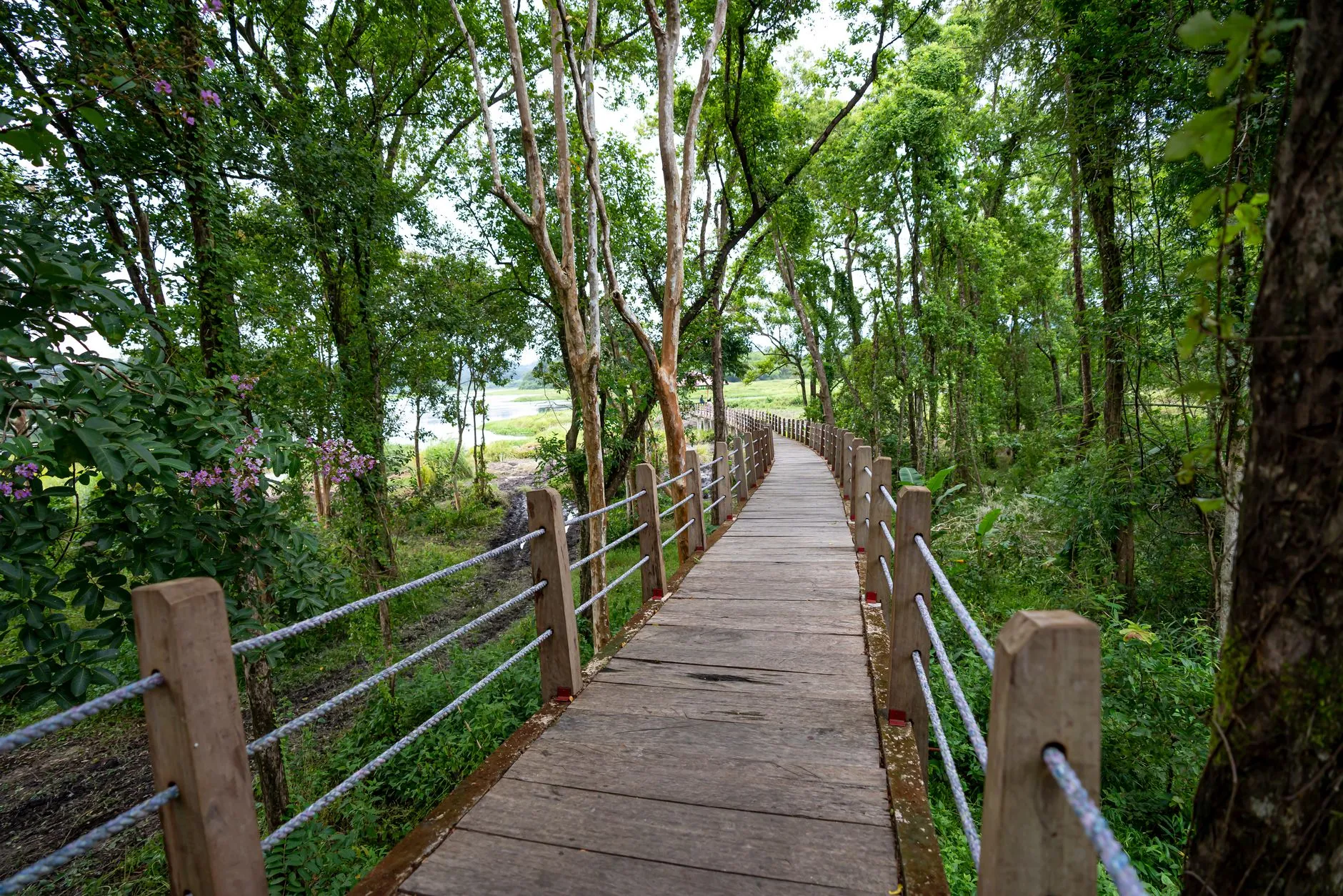 Tengchong National Forest Park