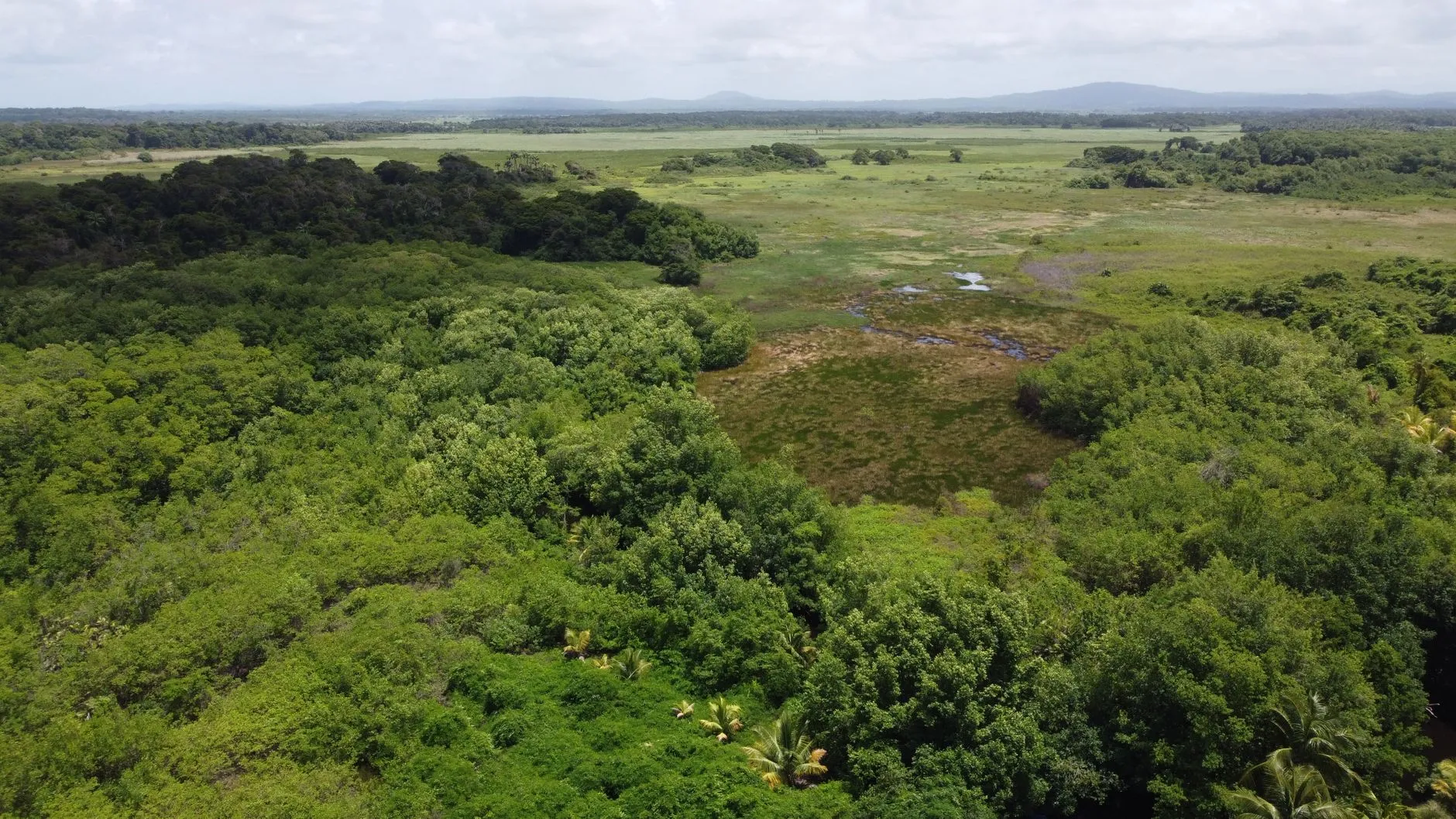 Tropical Rainforest Scenic Area