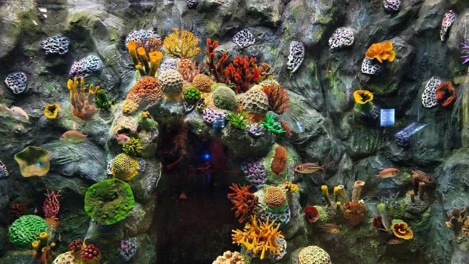 Underwater World of Beihai