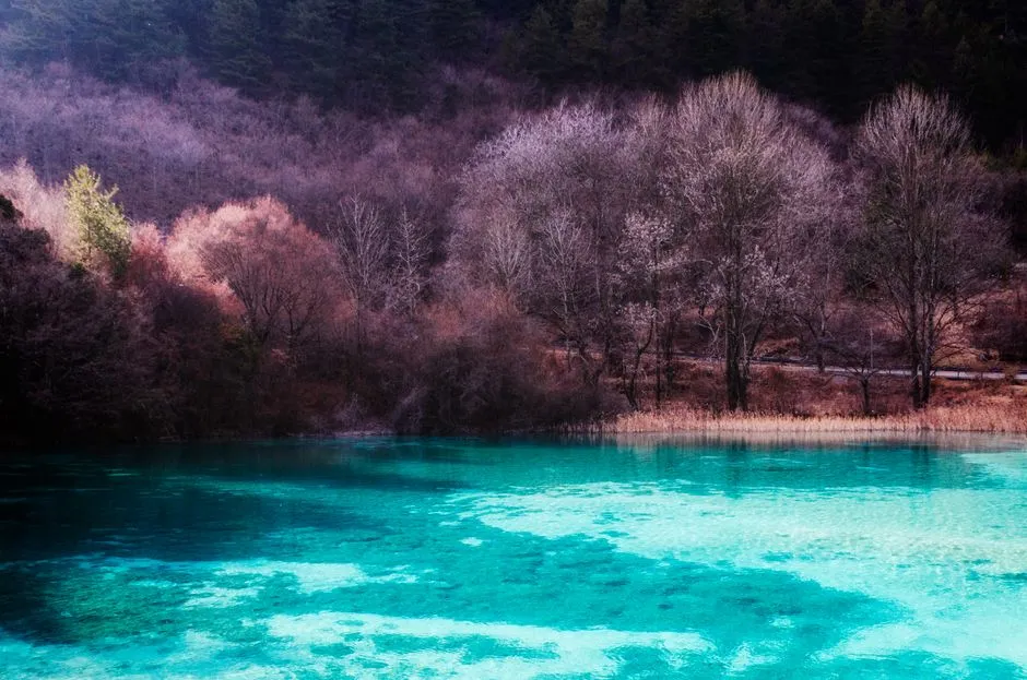 Wulaoshan National Forest Park
