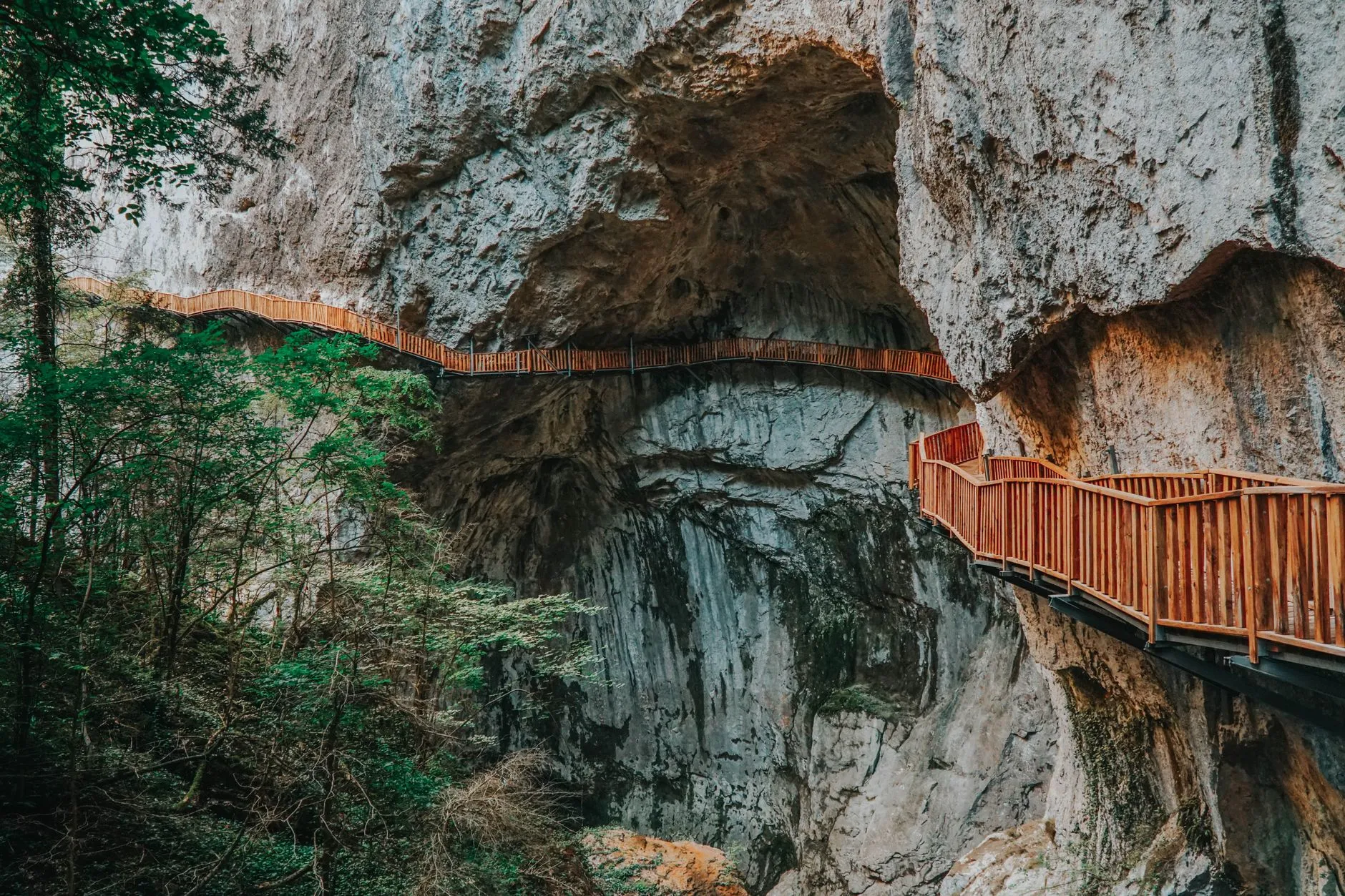 Wuzhishan Nature Reserve