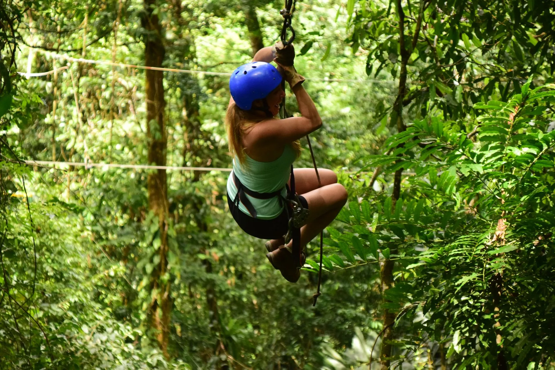 Rainforest Canopy Zipline