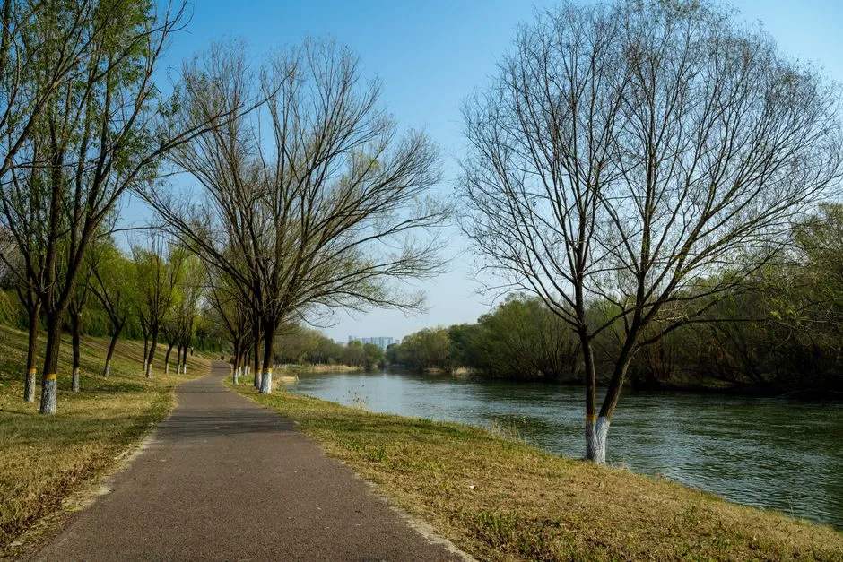 Xiangjiang Riverside Walk