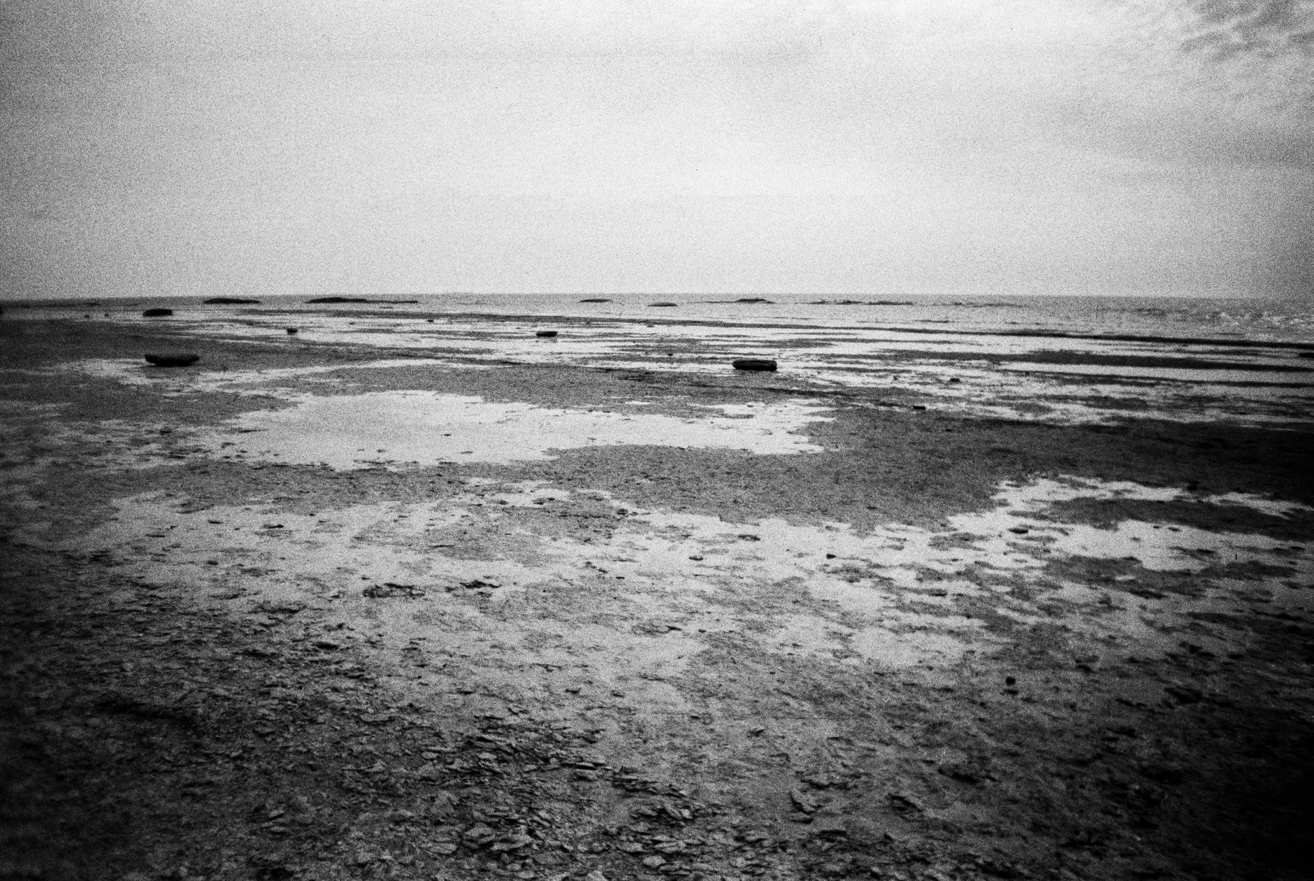Xiapu Mudflats