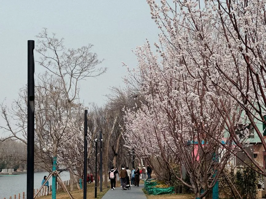 Xinkaihe Park