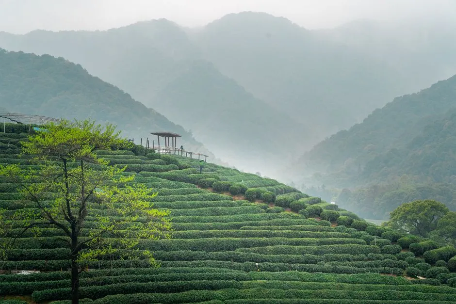Yucun Village